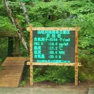 生态环境空气离子监测仪 负氧离子在线监测设备厂家 全国包邮