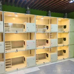 ʵľè����è��è��è����������˫��չʾè��ר��������˫����