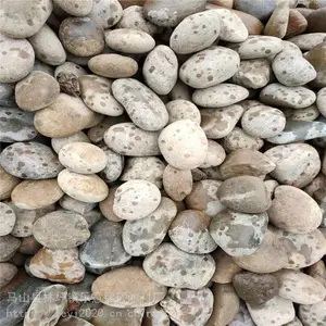 ��Ӧ�������������������ö���ʯ ˮϴɸ����Բ��