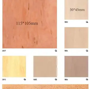 �รͬ��͸��PVC�ܽ��ذ� �����ܽ��ذ�ļ�Ǯ