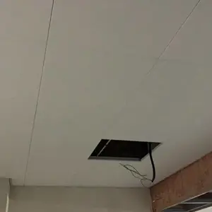 盛邦搏纳GRP/SMC吊顶板是经济适用型产品