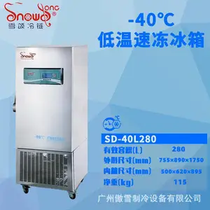 -40℃速冻仪器设备冰箱低温冷冻柜280L工业冰柜快速冷冻厂家供应
