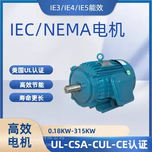 NEMA电机美标英制NEMA-449TS-250HP-2 尺寸UL认证/460V/480V美国电压电机