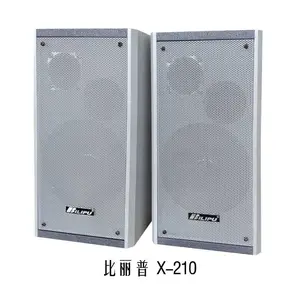 5.5寸教学音箱 磨砂箱体烤漆铁网小音柱 配原厂壁挂支架 教室专用音箱