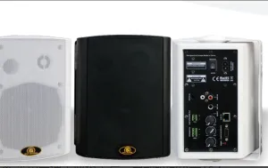 IP广播吸顶音箱定制-防城港IP广播吸顶音箱-星鸿德系统