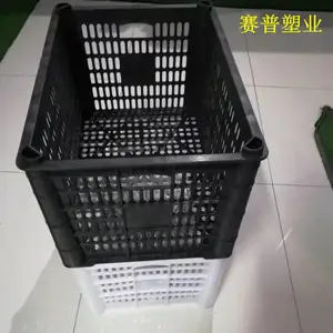 ����������ת�𶹸ɿ���ȿ��¿�����