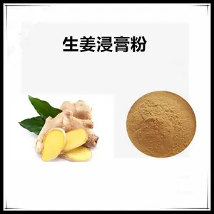 生姜浸膏粉 速溶粉 水溶 棕黄色粉末 沃特莱斯生物