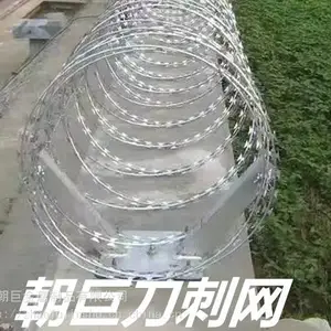 重庆围墙防爬刺网,重庆防攀爬刺丝网,重庆围墙刀刺网,重庆防盗刺丝网
