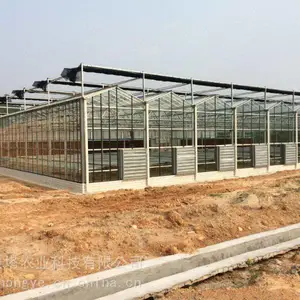 智能温室大棚承建,蔬菜简易温室大棚 贝塔农业
