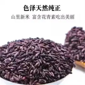 彝山香批发黑米糯米原始农耕杂粮组合黑米地方特产