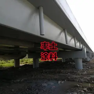 Ϋ������ ��ϩ��������� ��ϩ���ɴ��� ��ϩ��Ϳ��