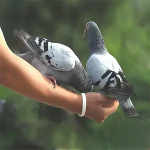 �������ۺ�ƽ��Ը� רҵ�Ŷӷ���ȷ���˳�����С�