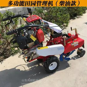 �賬��д󽪿����� �����԰���������� С����԰������