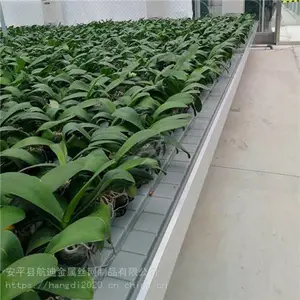 东营市潮汐灌溉系统_潮汐式移动苗床哪家好