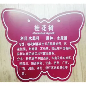 ���ݻ���˫ɫ���̻������PVC�����ABS������л������ǿ�������