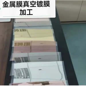 镀膜加工 专业镀膜加工 晶彩镀膜 卷对卷镀膜加工
