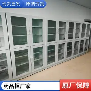 武鸣县实验室药品柜-通风药品柜-带双锁管理药品柜-广西药品柜现货销售