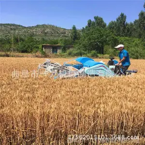ũ������С�������� ���͵��������ո�� �Ĵ�ˮ���ո��