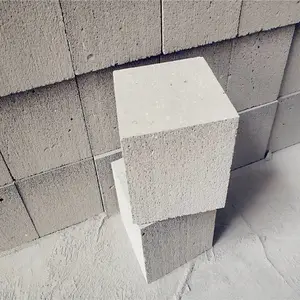 �������������� ������������ש �����Ա������鳧��