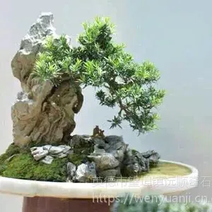�㶫Ӣ��ԭ��������������Ӣʯ����ʯ���Բ�����԰�ֹ��̾���ʯ��ʯ����ɽֱ��