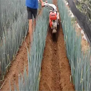������ֲ΢�Ϳ����� �ֶ������߲˴�����¢�� ���õ�λ�˿���������