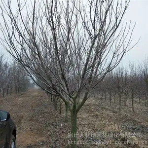 ����ֱ�� �ؾ�8�����ձ���ӣ�����۸��