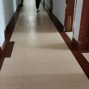 聊城灭鼠,酒店灭鼠,工厂灭鼠,超市灭蟑,除甲醛,夏季灭蚊蝇