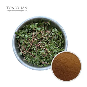 马齿笕提取物 药食同源马齿笕原料提取 现货比例提取 水溶性浸膏粉 马齿笕浓缩粉10：1
