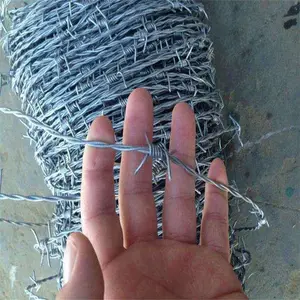 ��������ִ����� pe��˿����Ǯ �����̸�˿���۸�