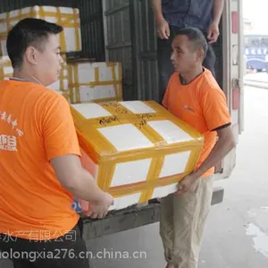 厦门小龙虾价格卖多少钱一斤
