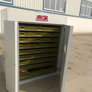 供应zn-1848syj家用小型全自动智能大型孵化机