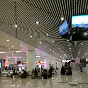 ���ɵ������ ������ ������������ ��������ͨ