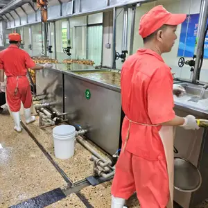 白切鸡生产设备 文昌鸡加工设备 白斩鸡生产线 禽类煮制流水线装置