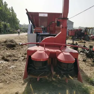 �¿�С���ഢ��ʲô���Ӻ� �����Ĵ�ʽ�����ഢ�ո������Ǯ