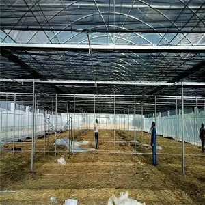 三明连体大棚哪里经济实惠 8430连栋大棚 热镀锌大棚管 热浸锌大棚钢管厂家
