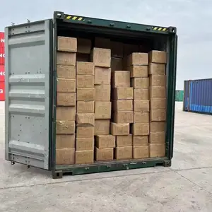 ���������綯ŤŤ����ƽ�⳵��С������ͶӰ��ɢ��ƴ��
