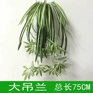 ��������ٲ�Ƥ���ڲ��û���ڹ����ܵ���õ�廨����Ҷֲ�ﱳ��ǽ