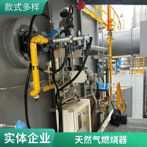 岱鼎燃烧燃气转炉煤气工业窑炉加热炉燃烧机烧嘴性价比高升温