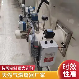 岱鼎燃气转炉煤气工业窑炉加热炉燃烧系统燃烧机焚烧生产厂家