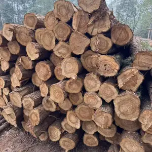 ���Ŵ�׮ľ��ʮ�ߴ�׮ľ�����ݴ�׮ľ��Т�д�׮ľ���ƸԴ�׮ľ����ʯ��׮ľ���人��׮ľ���˲���׮ľ������