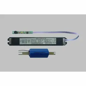 消防应急照明灯具(LED面板灯型)