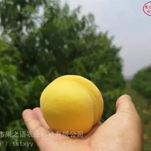 ������۸����36-5���硢36-5������繩Ӧ��