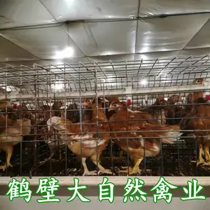 60����-105�����꼦�������������ؾ���˫��꣬�󳧼����������