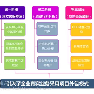 可视化数字营销实训