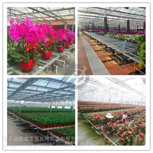 用心做半自动苗床工厂/丝网之乡航迪温室苗床/品质保障