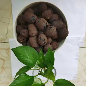 厂家轻质陶粒批发 南昌行情