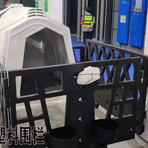 ��ţ�� ����һ����� ţ���� ţ���� ������꿹��� ����10��