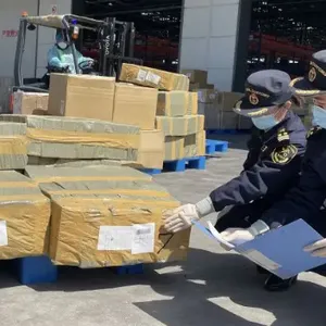 上海怎么办理美国进口货代 诚信服务 上海沃世国际货运代理供应