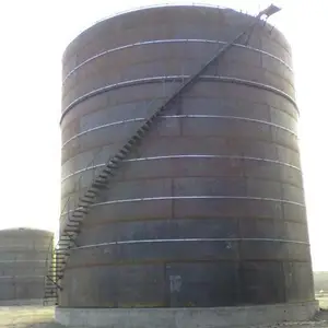 制作安装1000立方大型厌氧罐