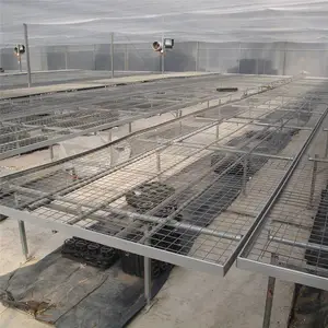 钢筋网片直销 建筑冷镀电焊网 实体厂家 供货批发